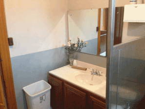 bathroom 2 before